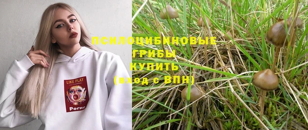 мет Алзамай