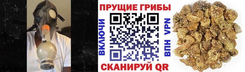 Галлюциногенные грибы GOLDEN TEACHER  KRAKEN ONION  Полярные Зори 