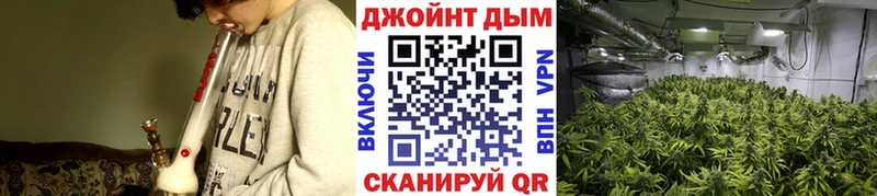 KRAKEN ТОР  где купить наркоту  Полярные Зори  Бошки Шишки Bruce Banner 